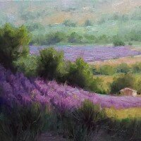 lavendar fields, French countryside