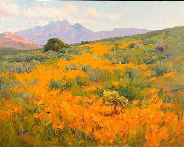 desert-poppies