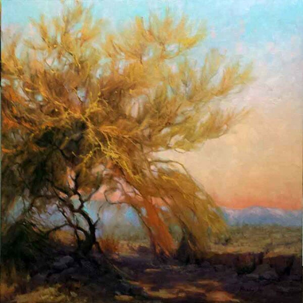 Palo Verde tree oil painting